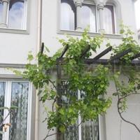 House in Bulgaria, Burgas Province, Elenite, 138 sq.m.