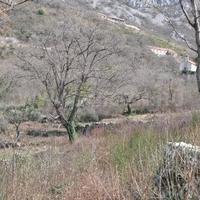 Land plot in Montenegro, Budva