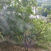 Дом в Черногории, 120 кв.м.