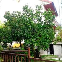 House at the second line of the sea / lake in Montenegro, 250 sq.m.