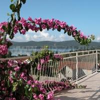 Дом в Черногории, 300 кв.м.