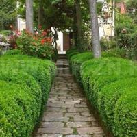 House at the first line of the sea / lake in Montenegro, 164 sq.m.