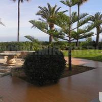 Villa at the first line of the sea / lake in Spain, Comunitat Valenciana, Alicante, 350 sq.m.