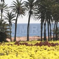 Apartment in Spain, Comunitat Valenciana, Alicante, 64 sq.m.