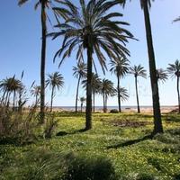 Apartment in Spain, Comunitat Valenciana, Alicante, 64 sq.m.