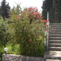 Апартаменты в Черногории