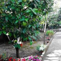 Дом в Черногории, 193 кв.м.