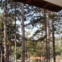 Квартира в Болгарии, Бургасская область, Елените, 83 кв.м.