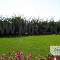 House in Bulgaria, Varna region, Elenite, 487 sq.m.