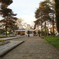 Flat in Bulgaria, Burgas Province, Elenite, 33 sq.m.