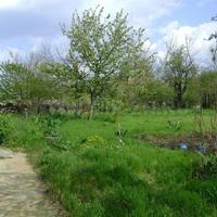 Дом в Болгарии, Падина, 80 кв.м.