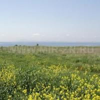 Квартира в Болгарии, Бургасская область, Елените, 66 кв.м.