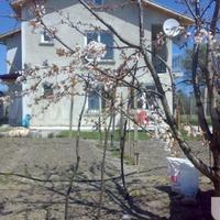 House in Bulgaria, Varna region, Elenite, 80 sq.m.