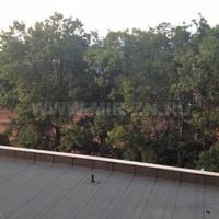 Apartment in the city center in Bulgaria, Sunny Beach, 48 sq.m.