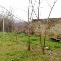 Апартаменты в Болгарии, Бургасская область, Елените, 130 кв.м.