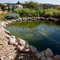 Апартаменты в Болгарии, Елхово, 75 кв.м.