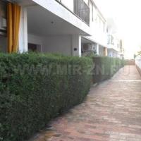 Апартаменты в центре города в Испании, Каталония, Барселона, 60 кв.м.