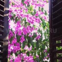 Дом в Черногории, 144 кв.м.