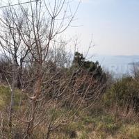 Земельный участок в Черногории, Будва