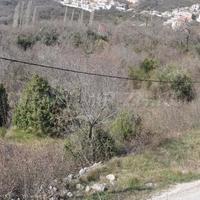 Земельный участок в Черногории, Будва