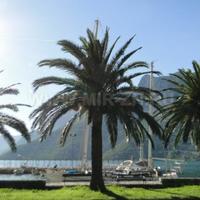 Villa in Montenegro, 798 sq.m.