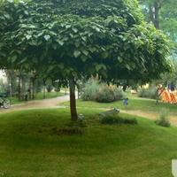 Апартаменты в центре города в Болгарии, Солнечный Берег, 65 кв.м.