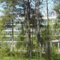 Апартаменты в Болгарии, Солнечный Берег, 40 кв.м.