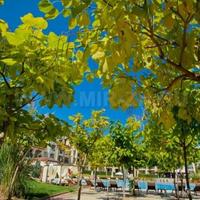 House in Bulgaria, Burgas Province, Elenite, 42 sq.m.