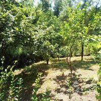 Дом в центре города в Черногории, 86 кв.м.