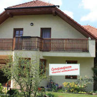 Дом в Чехии, Карловарский край, Карловы Вары, 230 кв.м.