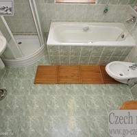 Flat Czechia, Ustecky region, Teplice, 130 sq.m.