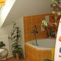 House Czechia, Karlovy Vary Region, Karlovy Vary, 188 sq.m.