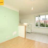 Flat Czechia, Karlovy Vary Region, Karlovy Vary, 101 sq.m.