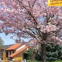 House Czechia, Karlovy Vary Region, Karlovy Vary, 1202 sq.m.