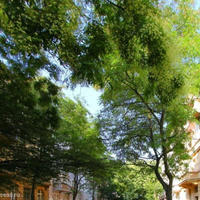 Flat Czechia, Ustecky region, Teplice, 114 sq.m.