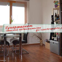 Flat Czechia, Karlovy Vary Region, Karlovy Vary, 109 sq.m.