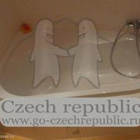 Квартира в Чехии, Карловарский край, Карловы Вары, 53 кв.м.