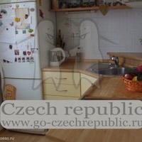 Квартира в Чехии, Карловарский край, Карловы Вары, 53 кв.м.