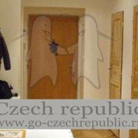 Flat Czechia, Karlovy Vary Region, Karlovy Vary, 55 sq.m.
