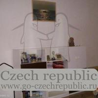 Flat Czechia, Karlovy Vary Region, Karlovy Vary, 57 sq.m.
