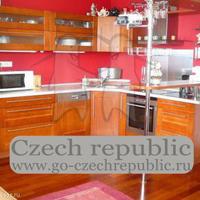 Квартира в Чехии, Устецкий край, Теплице, 46 кв.м.