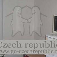 Flat Czechia, Karlovy Vary Region, Karlovy Vary, 54 sq.m.