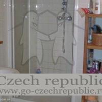 Квартира в Чехии, Устецкий край, Теплице, 55 кв.м.