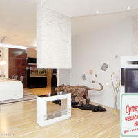 Flat Czechia, Ustecky region, Teplice, 118 sq.m.