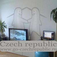 Flat Czechia, Ustecky region, Teplice, 37 sq.m.