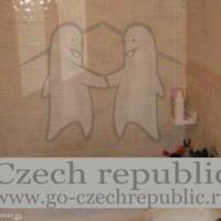 Flat Czechia, Ustecky region, Teplice, 26 sq.m.