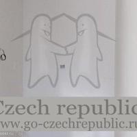 Flat Czechia, Karlovy Vary Region, Karlovy Vary, 50 sq.m.