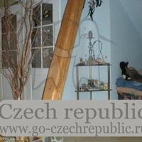 Flat Czechia, Karlovy Vary Region, Karlovy Vary, 112 sq.m.