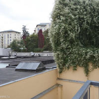 Квартира в Чехии, Карловарский край, Карловы Вары, 50 кв.м.