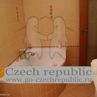 Flat Czechia, Karlovy Vary Region, Karlovy Vary, 91 sq.m.